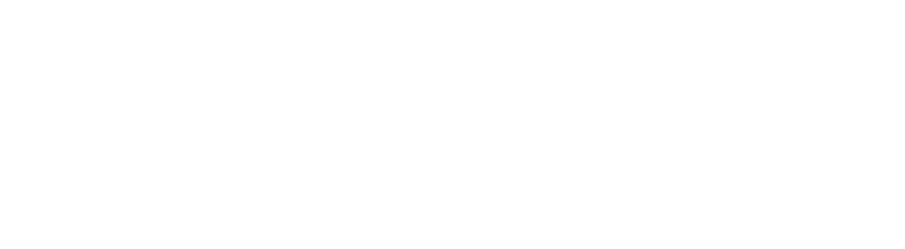 Swandex Logo